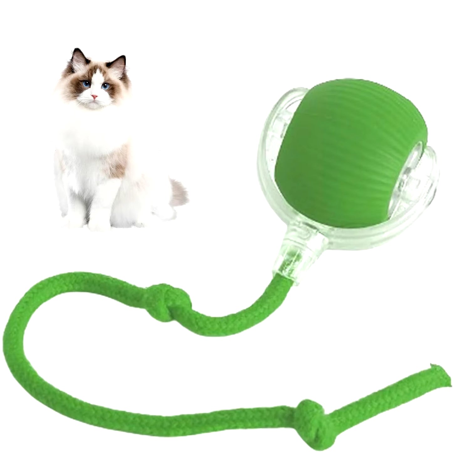 Lettuce Interactive Rolling Ball – Smart, Rechargeable Fun for Cats & Dogs