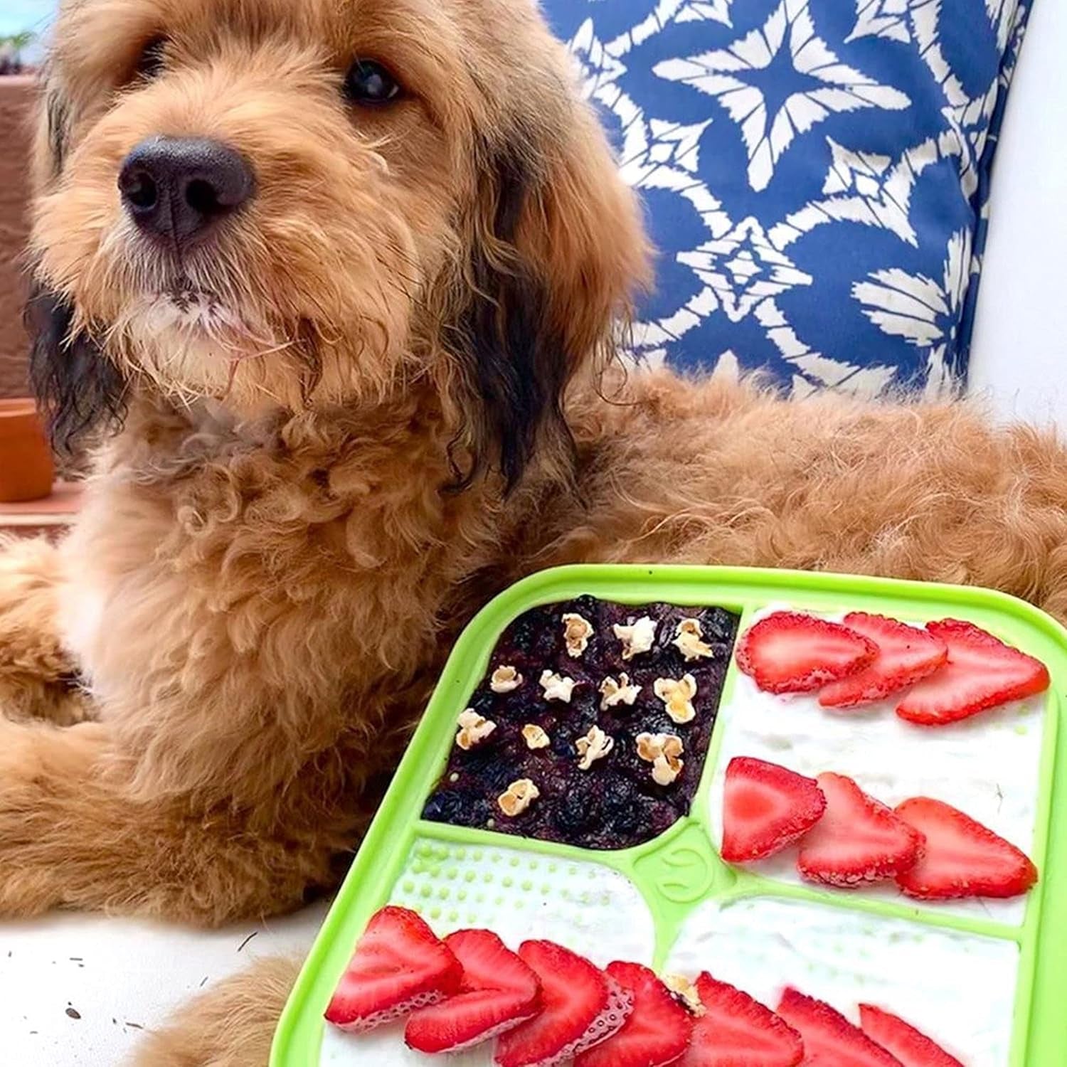 IQ Treat Lick Mat for Dogs, Dog Slow Feeder & Cat Lick Mats | Great Alternative to Slow Feeder Dog Bowls & Cat Slow Feeders | Perfect Dog Licking Mat, Cat Puzzle Feeder & Dog Enrichment Toys